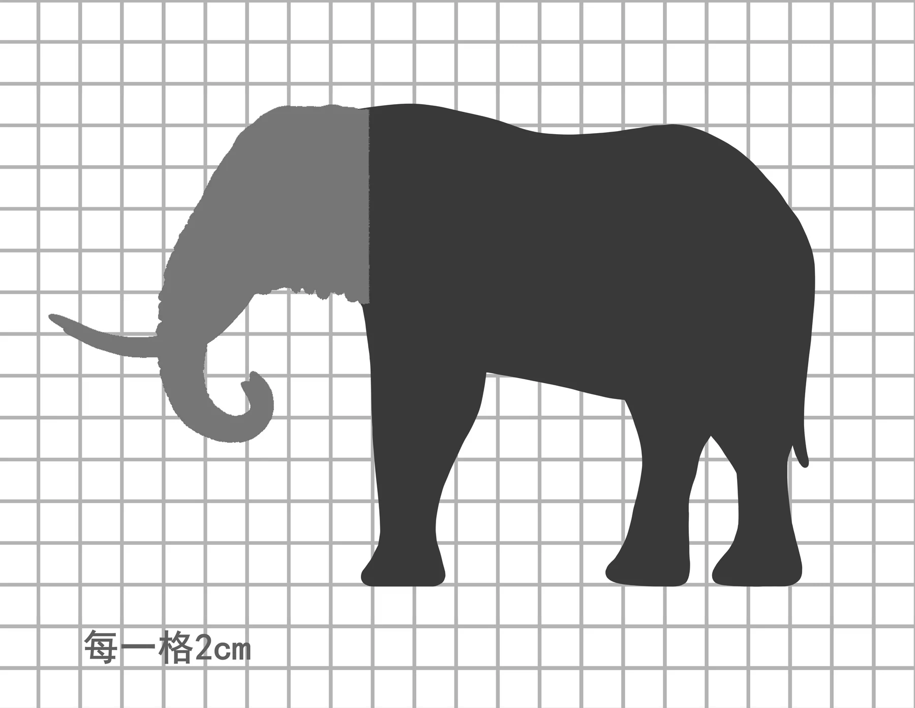 兽头系列限定款非洲象比例图
