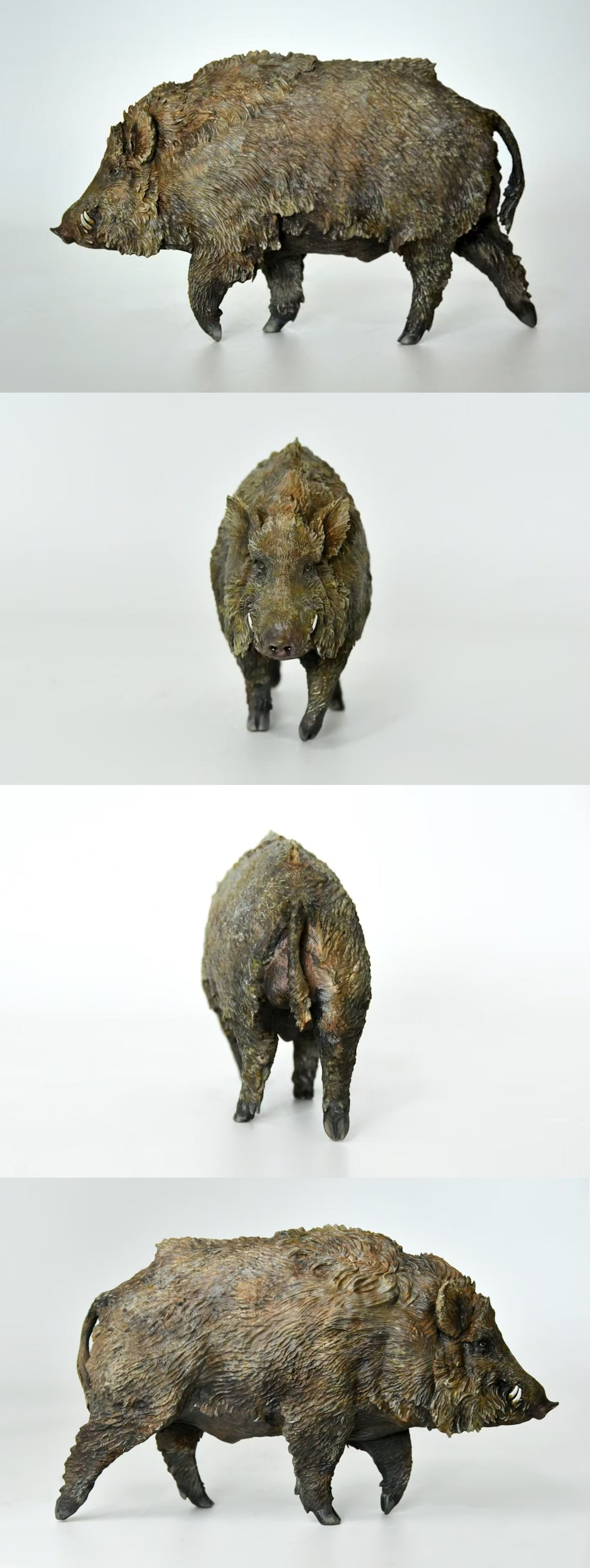 欧亚野猪成品多角度完整展示图